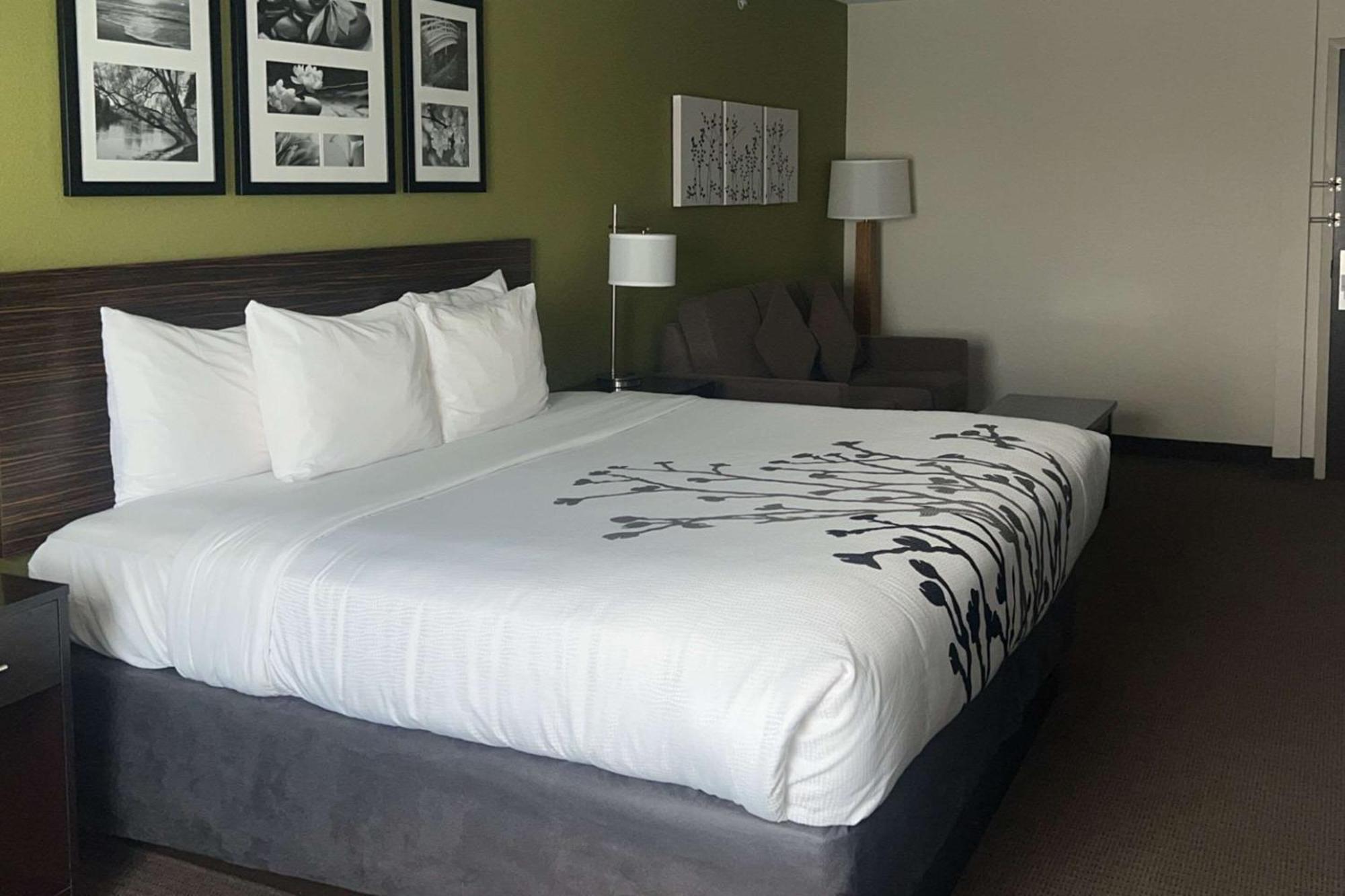 Sleep Inn & Suites Jourdanton - Pleasanton Eksteriør bilde